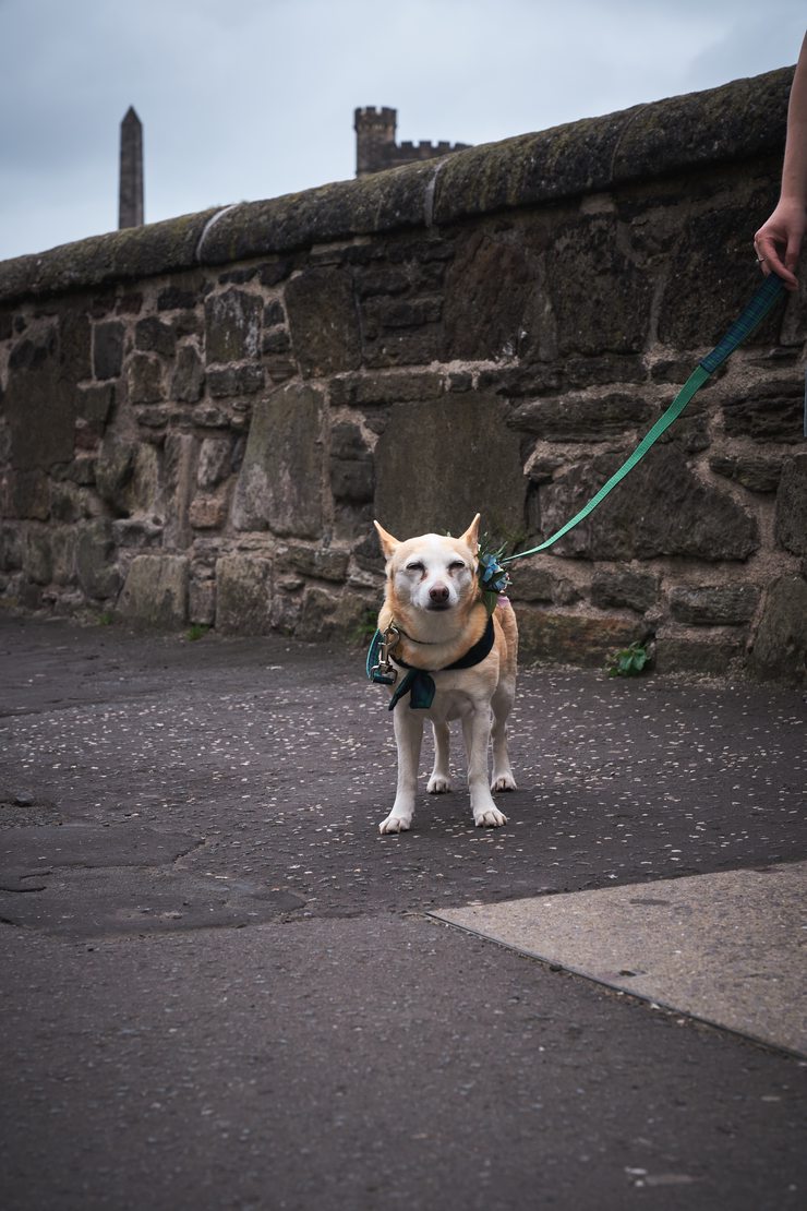 Spice is over this very long walk.
