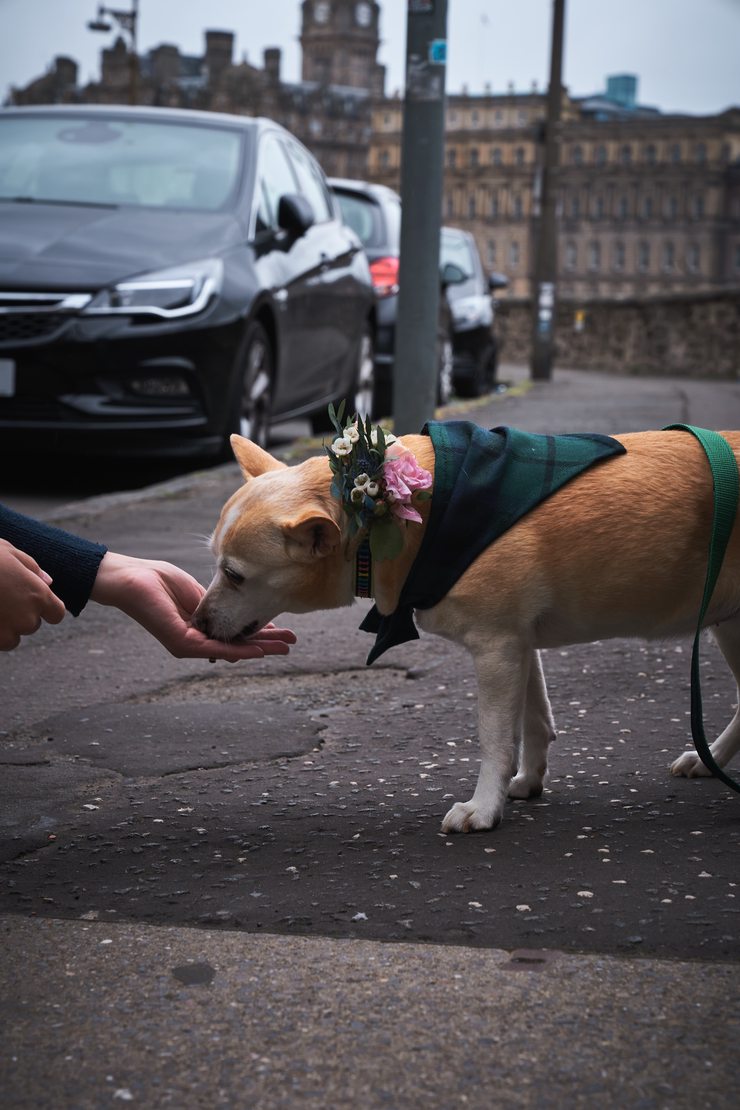TREATS!
